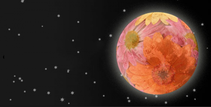 Flower Moon: Full Moon in May 2024