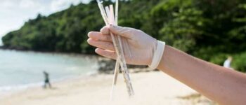 Best Alternative to Plastic Straws for Restaurants